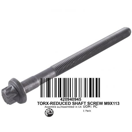 SEA-DOO FLANGED TORX SCREW M9 X 113 (S)